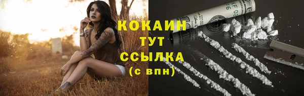 молекула духа Мегион