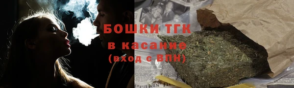 молекула духа Мегион