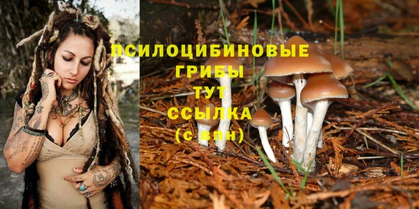 молекула духа Мегион