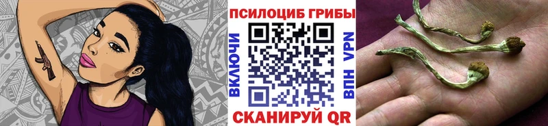 Купить закладки  Назарово  Псилоцибиновые грибы Magic Shrooms 